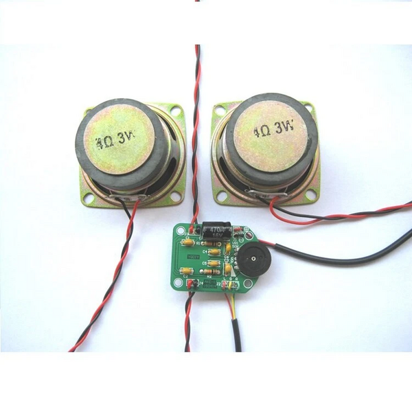 File:EQKIT 3W Power Amplifier Kit Amplifier Production DIY kit Small Speaker Parts Electronic Production Kit-2.png