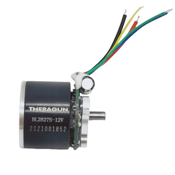 File:High Quality Theragun Fascia Gun Brushless Motor BL2827S-DC12V with Neodymium Iron Boron Strong Magnetic High Torque CW for Deep - image 06.jpg