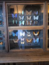Museum exterior / gardens — Wed 5 Aug